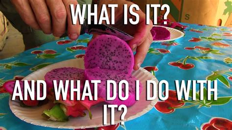 Spoon it directly into your mouth, cut it up into quarters like an apple, or use it in one of the recipes below.you can also cut it into fifths and create a really cool pattern. How To Pick and Eat Dragon Fruit (Pitaya) - YouTube