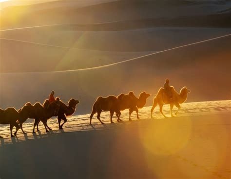 Gallery Of Photography By Zay Yar Lin Myanmar LatAm ARTE