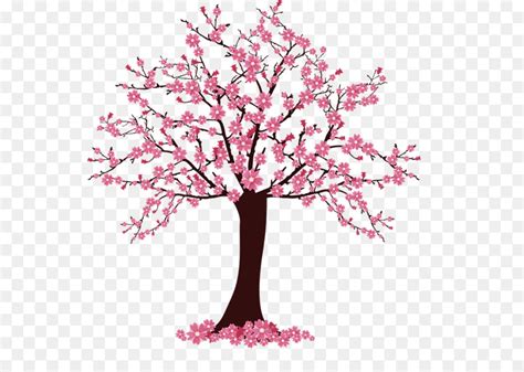 Cherry Blossom Tree Clip Art Sakura Tree 600621 Transprent Png Free