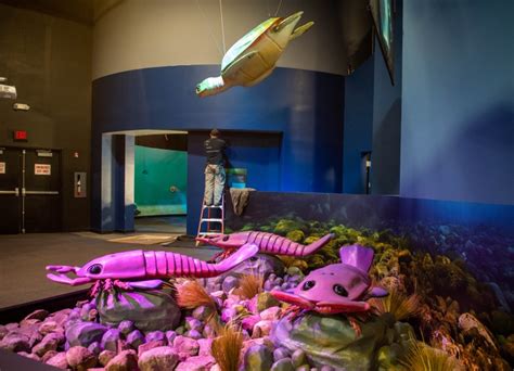 Photos Mystic Aquariums Newest Exhibit Dino Seas An Immersive Journey