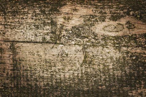 Dark Wood Texture Background Surface With Old Natural Pattern Or Dark