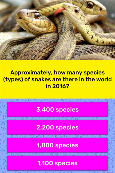 Approximately How Many Species Trivia Questions
