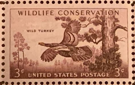 History Of The Wild Turkey Stamp Mossy Oak