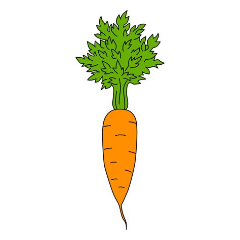 Cartoon Carrot Isolated On White Background Colorful Vector