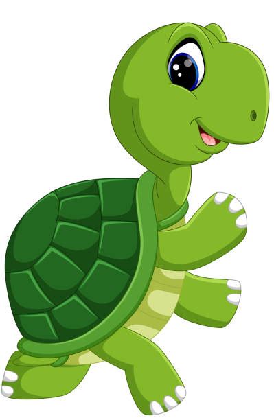 Best Turtle Standing Illustrations Royalty Free Vector