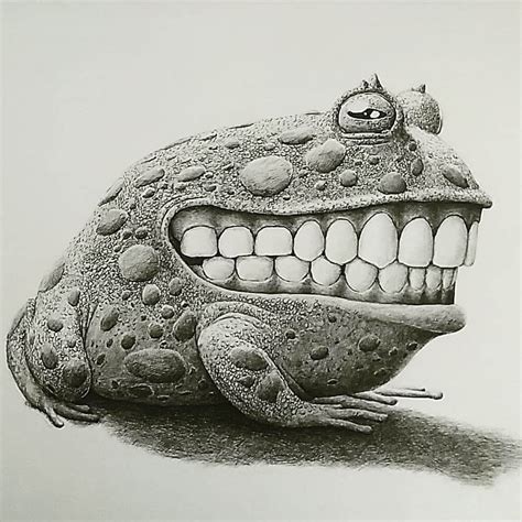 Surreal Combination Animal Drawings Weird Drawings Frog Art