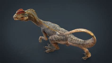 3d Model Dilophosaurus Vr Ar Low Poly Cgtrader