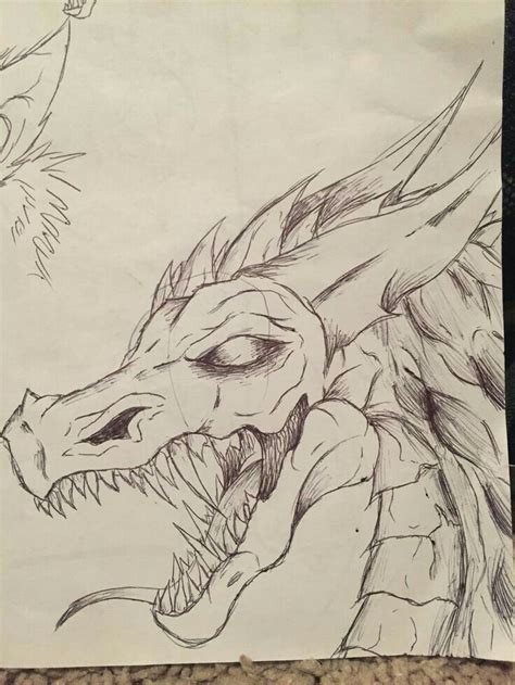 Pin De Shadow Eclipes Em Dragons Desenho De Dragão Desenho