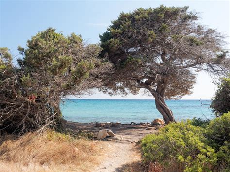 Guide till sardiniens sevärdheter, stränder och goda mat. Landschaft Von Strand Sardinien Italien Bidda Rosa ...