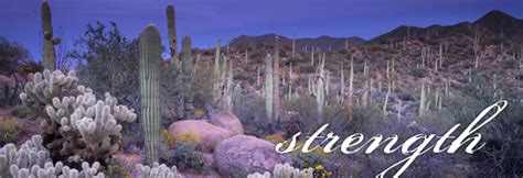 8140 e cactus road, suite 700. The Mandel Center of Arizona - Home