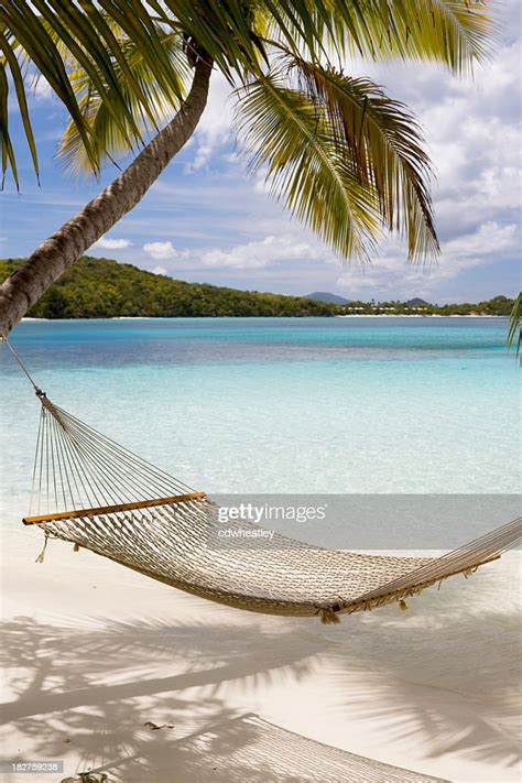 Hammock Hung On Palm Trees On A Caribbean Beach Stock Photo Getty Images