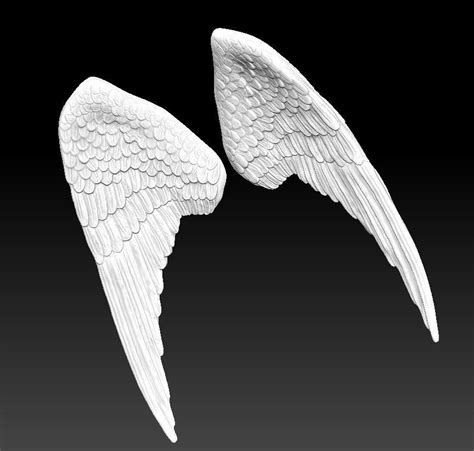 3d Printable Model Angel Bird Pair Wings Cgtrader
