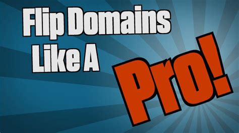 guide    flip domain names  profit