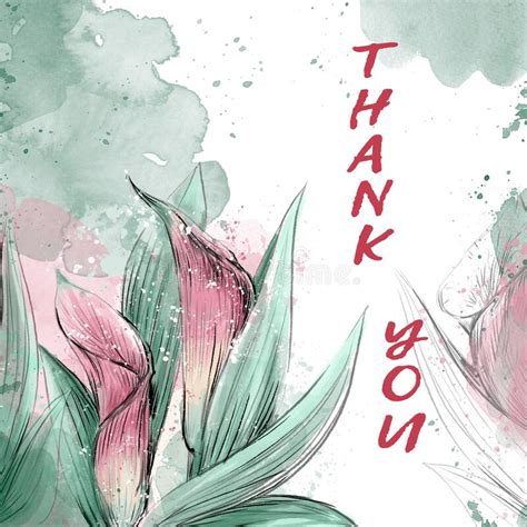 Thank You Card With Calla Lilies Watercolor Illustration With The Text