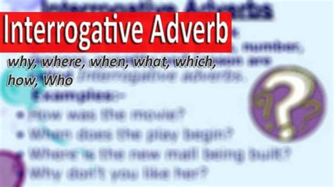 · to pay by check (credit card): Pengertian, Rumus dan Contoh Kalimat Interrogative Adverb ...