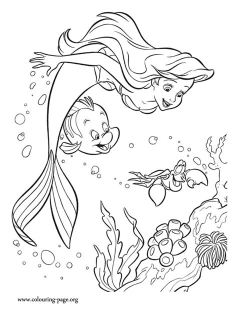 Flounder Coloring Pages To Download And Print For Free