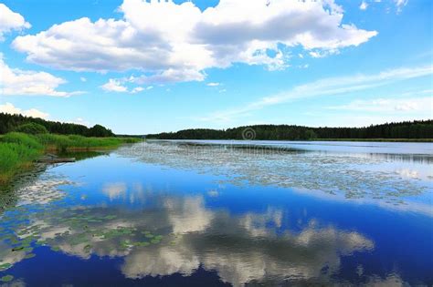 Lake Water With Reflection Nature Horizon Landscape Stock Photo Image