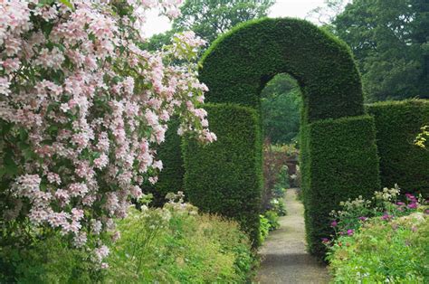 Gardening Hedge Ideas 41 Incredible Garden Hedge Ideas For Your Yard