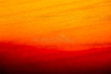 2273 Orange Sunburst Background Stock Photos Free And Royalty Free