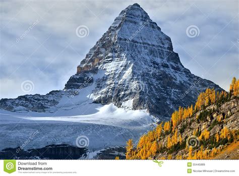 Mount Assiniboine In Canadian Rockies Stock Image Image Of Fall