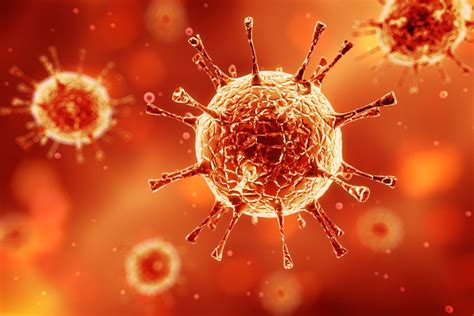 From the survey, 1,249 patients were diagnosed with rare diseases in public hospitals. 6 in 10 Infectious Diseases Come from Animals. The CDC Is ...
