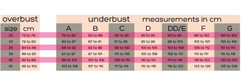 How To Properly Measure Your Bra Size Correct Bra Siz