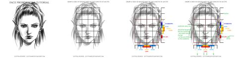 Face Proportions Tutorial Female By Justynawj On Deviantart