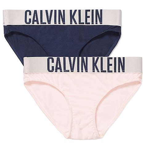 Calvin Klein Girls 2 Pack Intense Power Bikini Brief Shrinking Violet