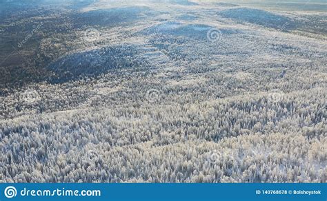 Top View Of Highlands With Coniferous Forest In Winter Footage