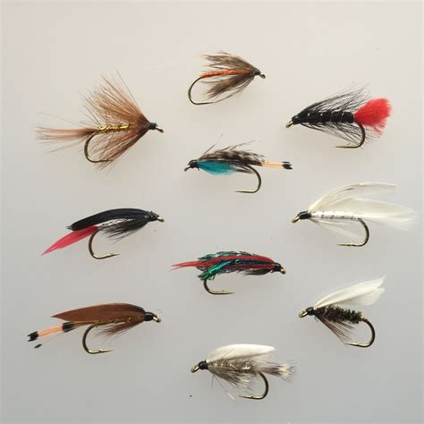 Wet Flies Large Sizes 6 8 Pack Of 16 20 Bestcity Tackle