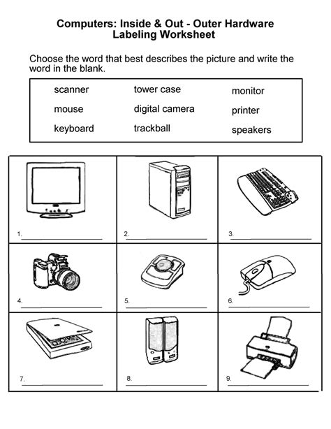 Grade 1 Science Worksheet How Animals Move Free Printable 1st Grade