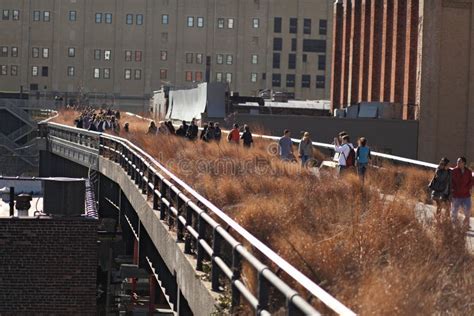 High Line Park In New York City Editorial Stock Image Image Of Park