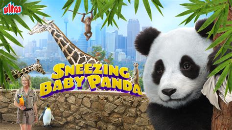 Sneezing Baby Panda Full Movie Online Watch Hd Movies On Airtel Xstream