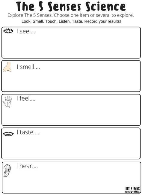 5 senses science worksheet free printable science worksheets