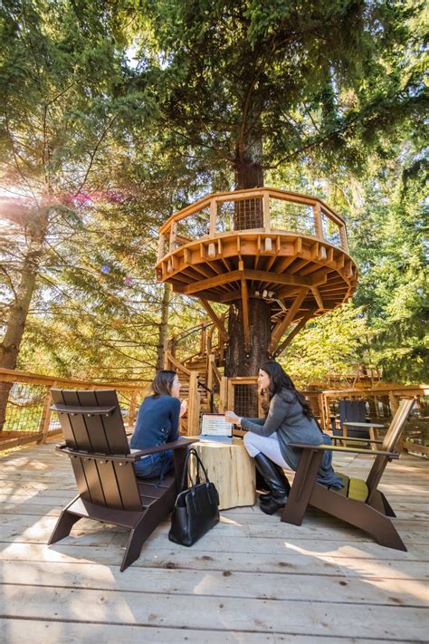 Techie Treehouses Microsoft S Treetop Work Spaces Nelson Treehouse