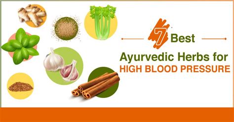 7 Best Ayurvedic Herbs For High Blood Pressure Lower Your Blood Pressure