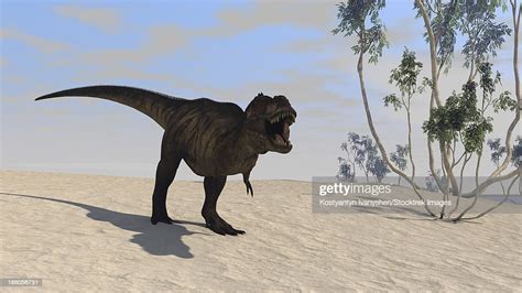 Tyrannosaurus Rex Hunting In An Open Desert High Res Vector Graphic