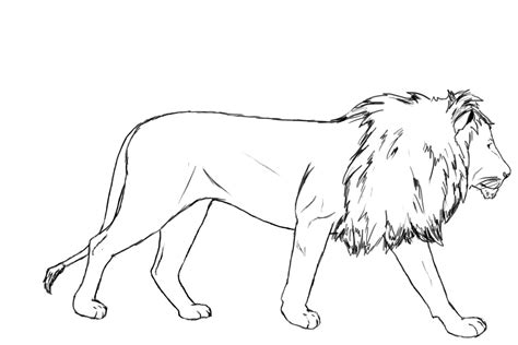 Training in drawing, modeling, game development for beginners to advanced professionals. How To Draw A Lion - Draw Central