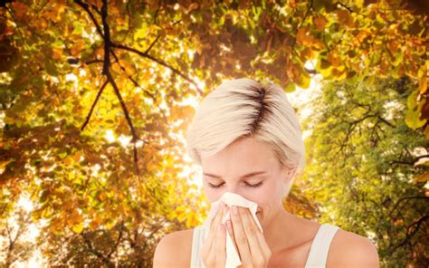 Your Cold Might Actually Be A Sign Of Fall Allergies Paul Young Md