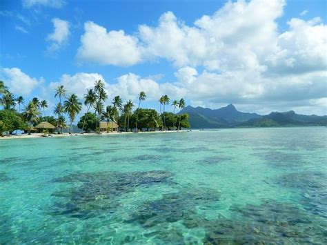 The Best Things To Do In Raiatea Updated 2020 Must See Attractions