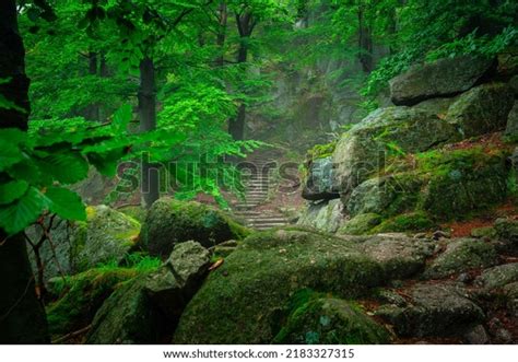 Foggy Landscape Stairs Hellish Valley Chojnik Stock Photo 2183327315
