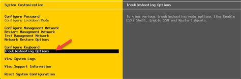 How To Enable Ssh On A Virtual Server Vmware Esxi⠀ Diskinternals