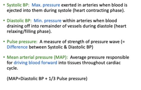Lecture 38 Blood And Pressure Flashcards Quizlet