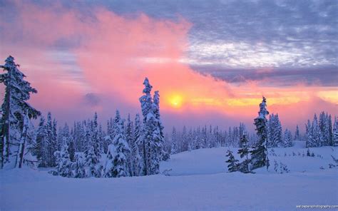 Beautiful Winter Scenes Wallpapers Top Free Beautiful Winter Scenes