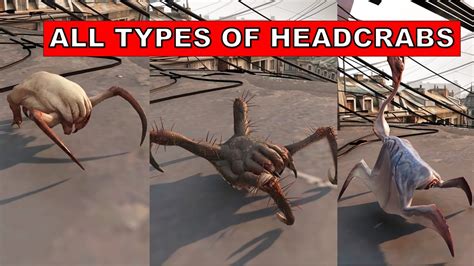 Half Life Alyx All Types Of Headcrabs Youtube