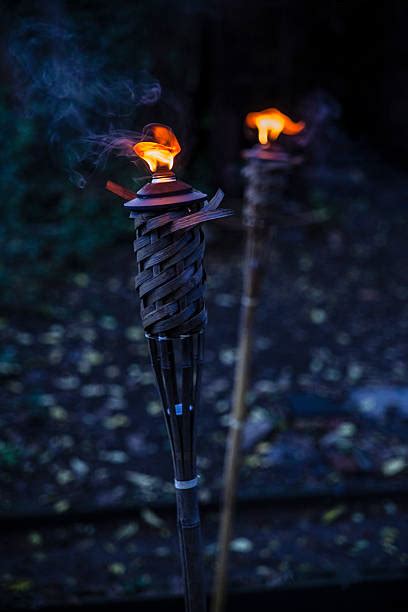 Torches Garden Stock Photos Pictures And Royalty Free Images Istock