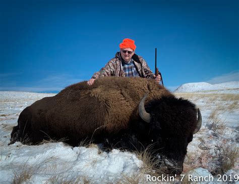 Buffalo Hunting