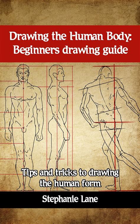 Jp Drawing The Human Body Beginners Drawing Guide Tips And