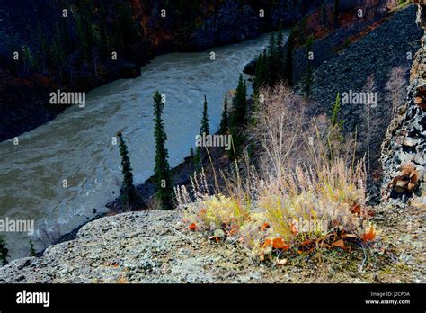 The Telegraph Creek Road Is One Of The Most Remote And Difficult In