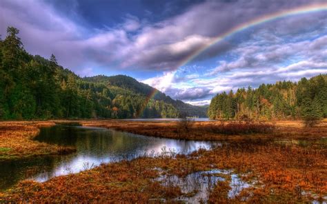 Landscapes Sky Rainbow Trees Wallpapers Hd Desktop